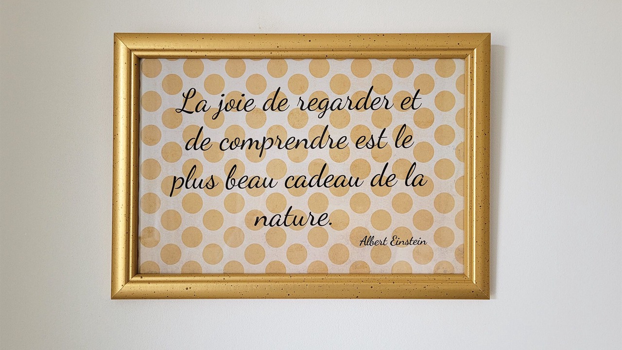 Photo of Others in Alzon