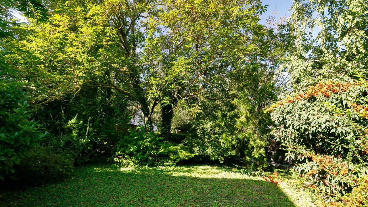 Photo of Outdoor in Siofok-Sosto
