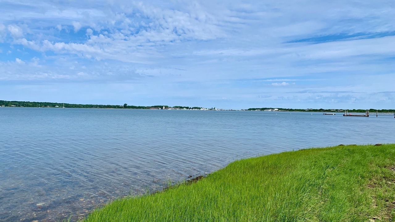 Photo of Others in Montauk