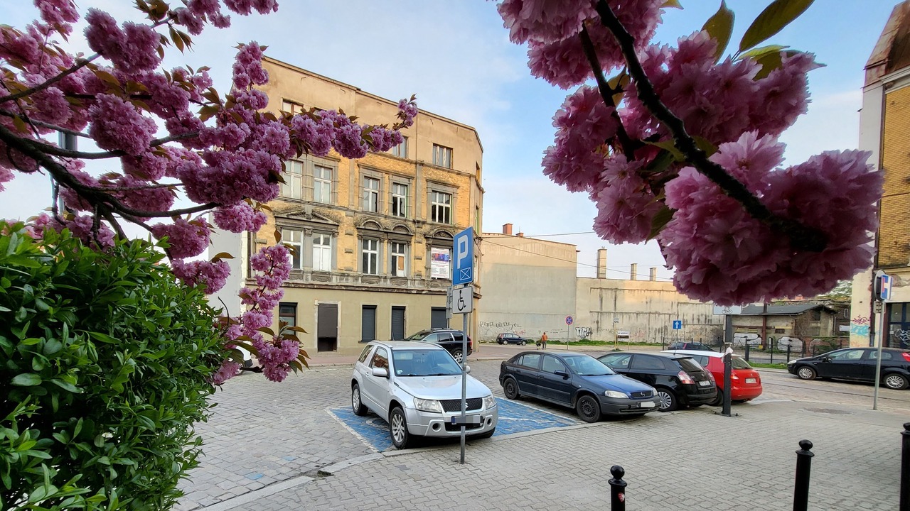 Photo of Outdoor in Bytom