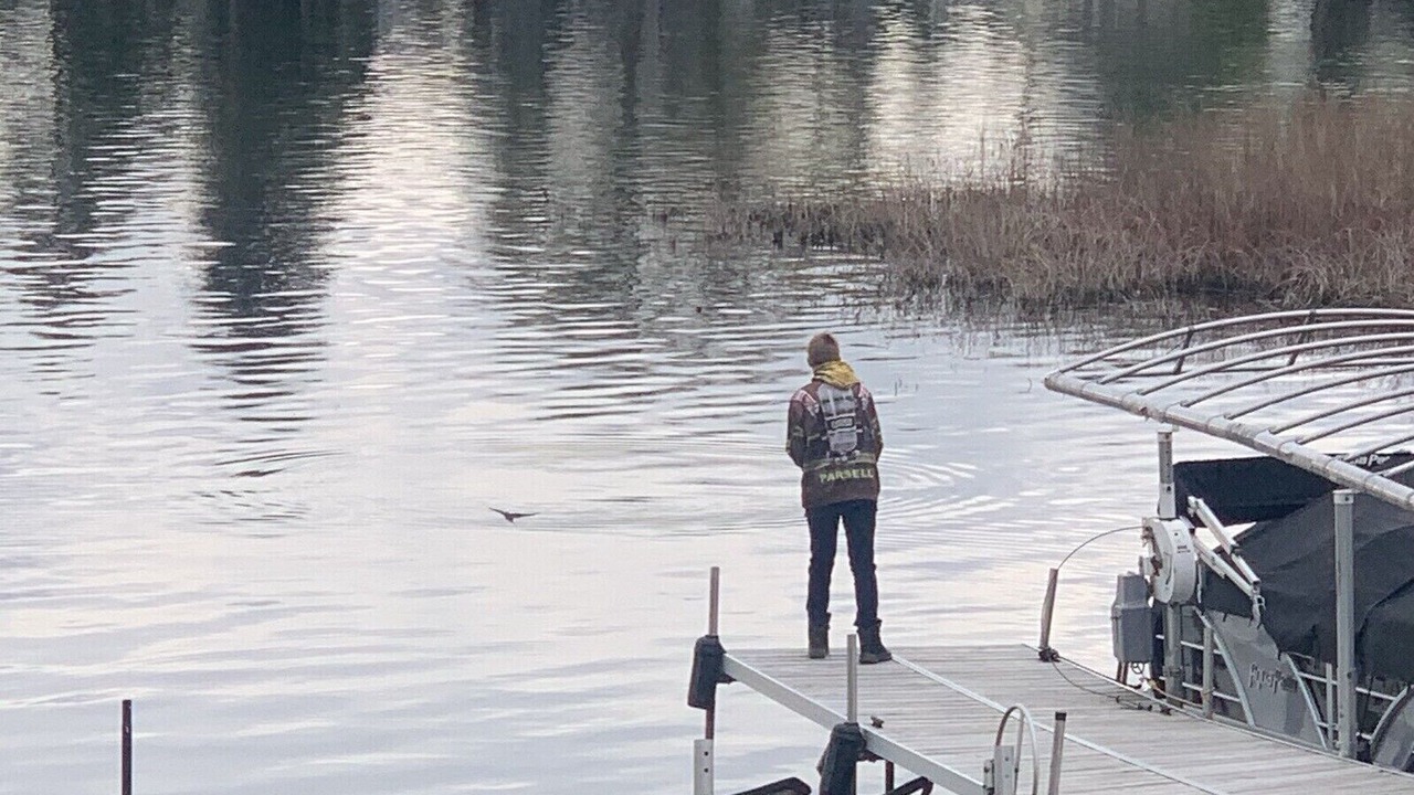 Photo of Outdoor in Lake Fenton