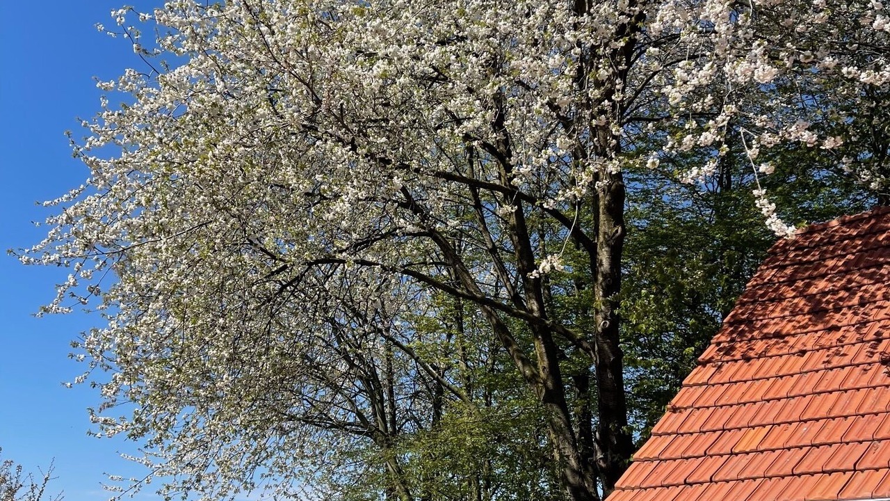 Photo of Others in Municipality of Arnhem