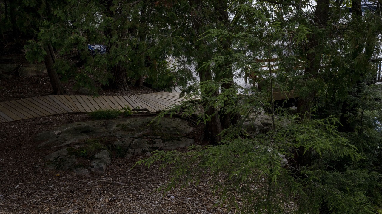 Photo of Outdoor in Muskoka Lakes