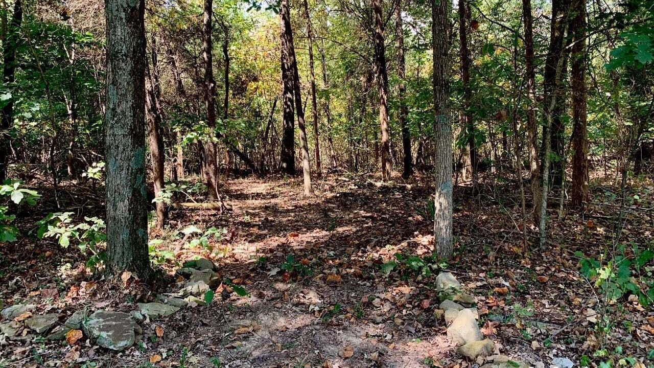 Photo of Others in Madisonville