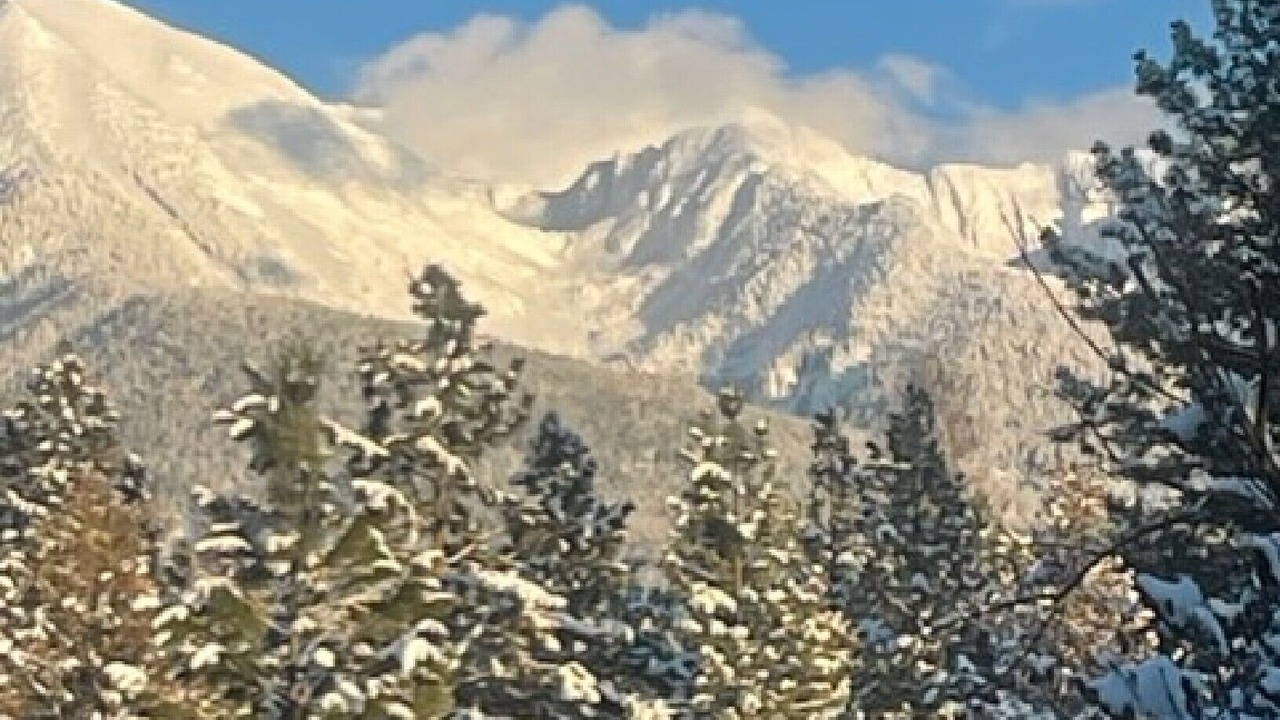 Photo of Outdoor in Condon
