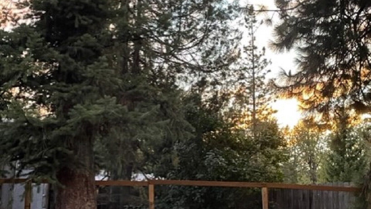 Photo of Outdoor in Condon