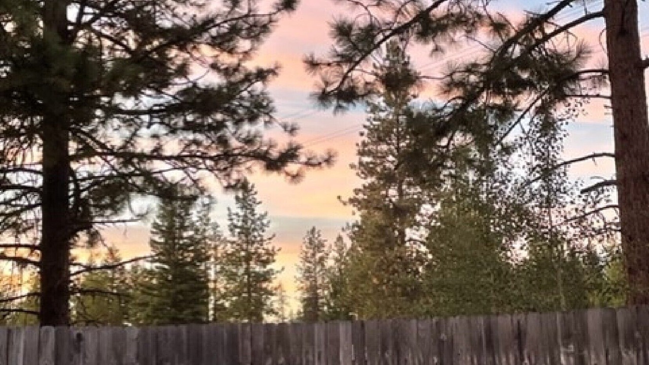Photo of Outdoor in Condon