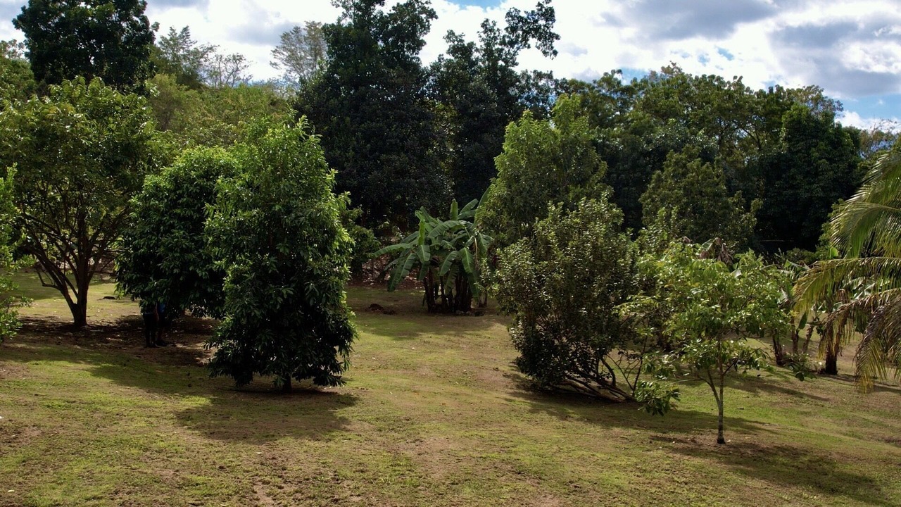 Photo of Outdoor in Pedernales