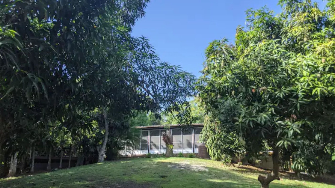 Photo of Outdoor in Pedernales