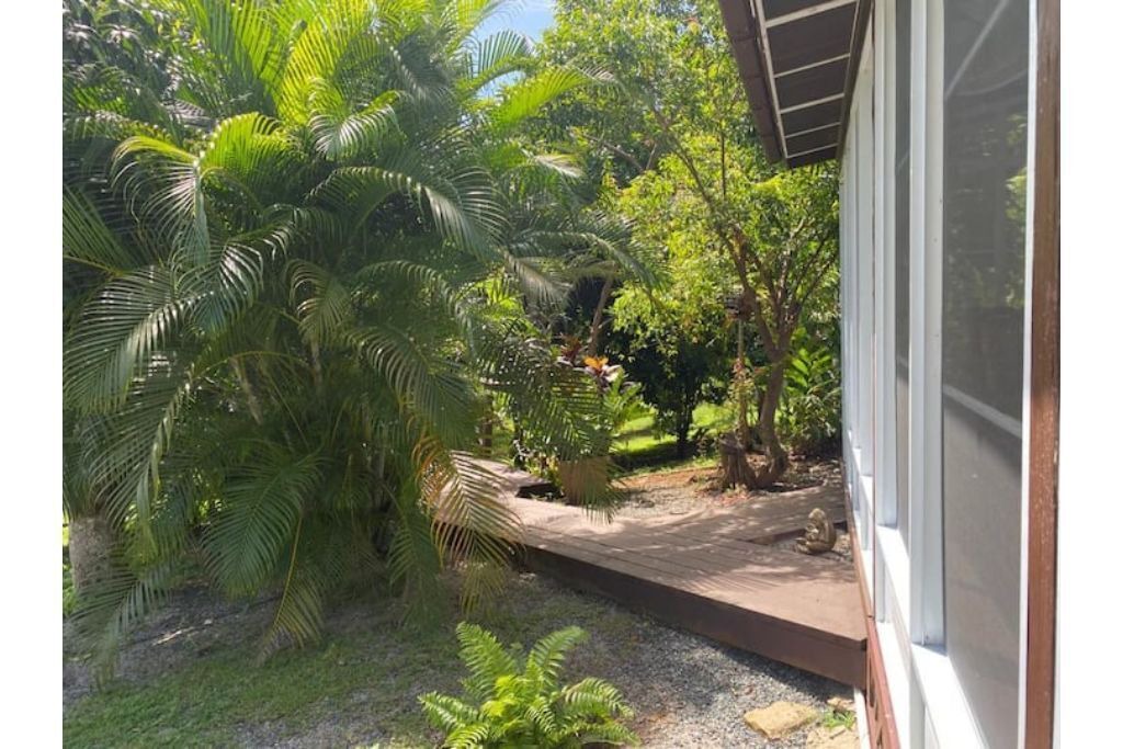 Photo of Outdoor in Pedernales