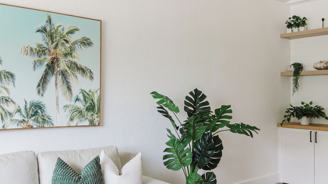 Photo of Livingroom in Sarasota