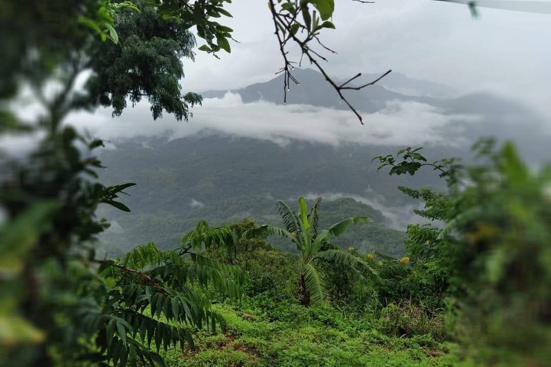 Photo of Outdoor in Ella