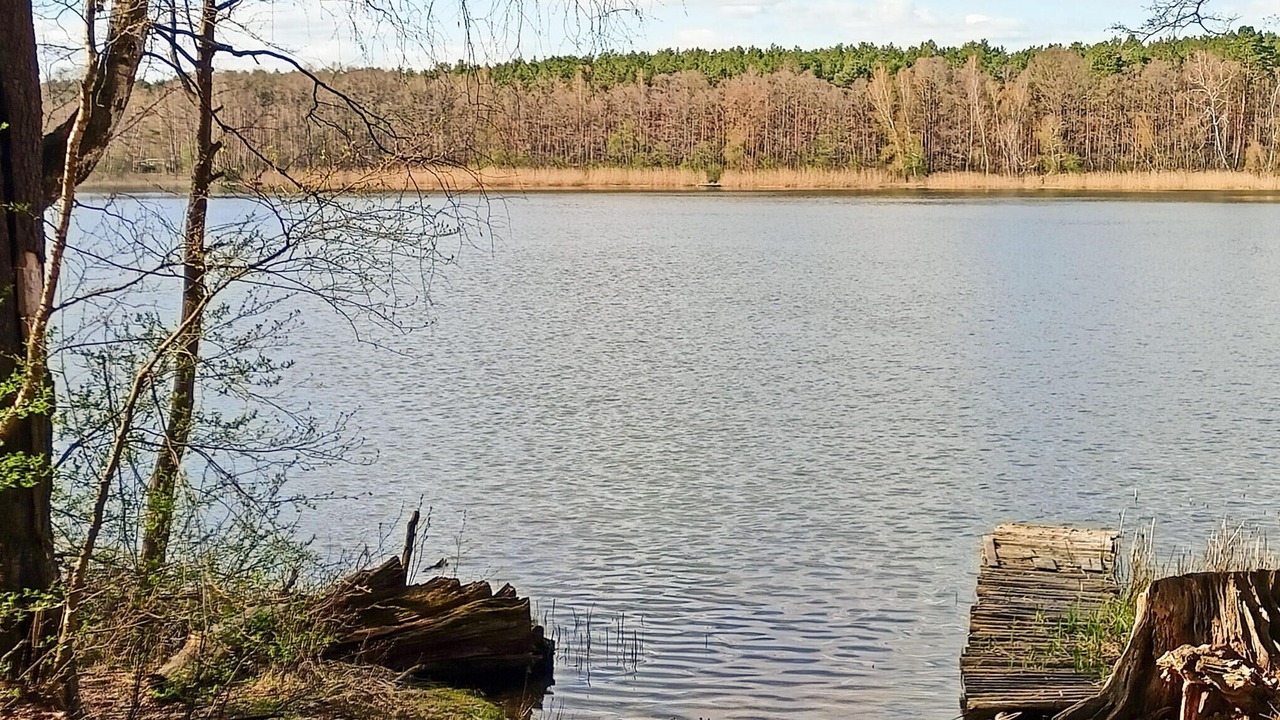 Photo of Others in Wolsztyn