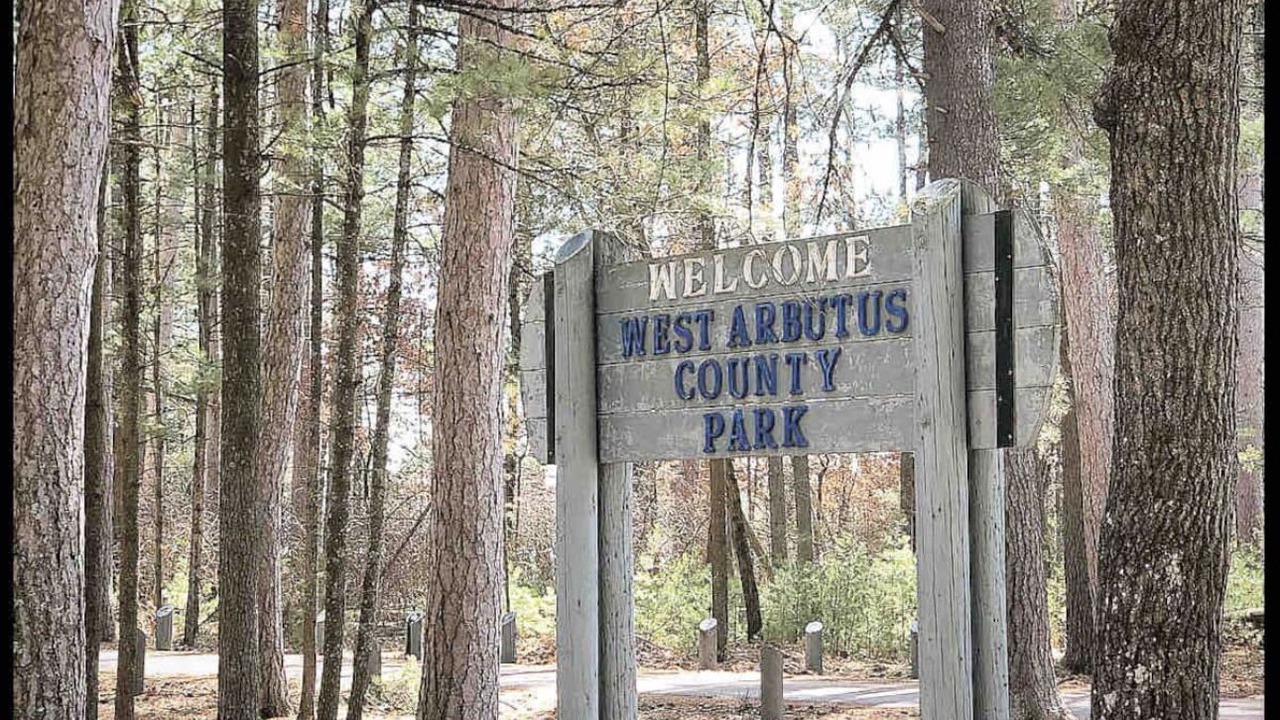 Photo of Outdoor in Hatfield