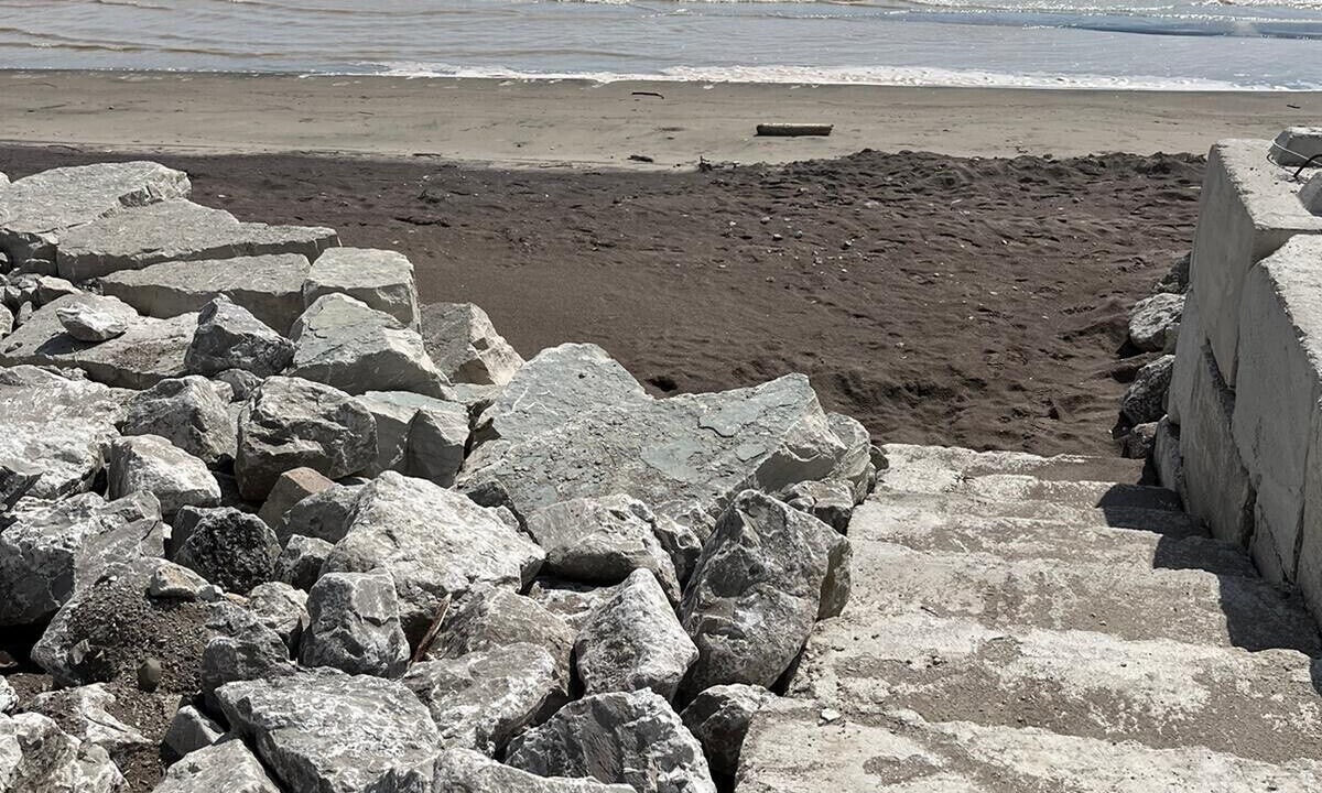 Photo of Others in Long Point