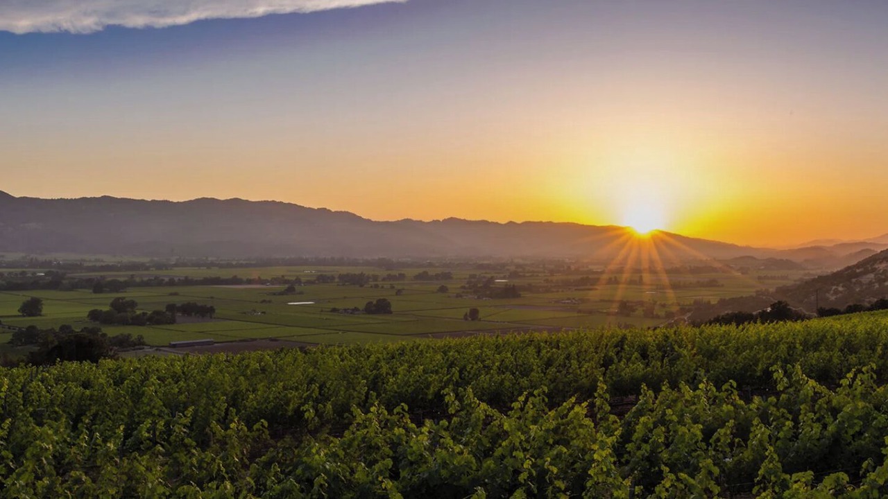 Photo of Others in Calistoga