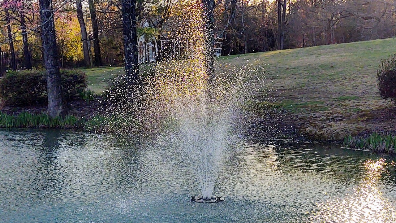 Photo of Outdoor in Rutherfordton