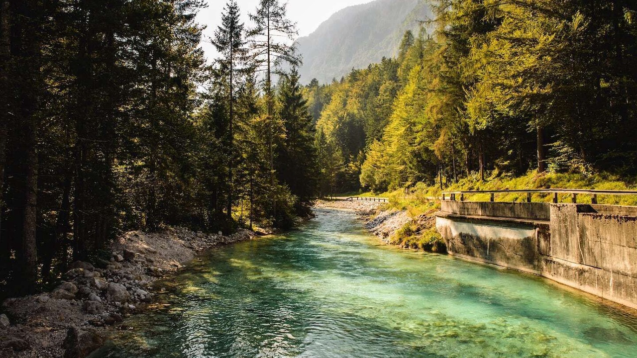 Photo of Others in Mojstrana