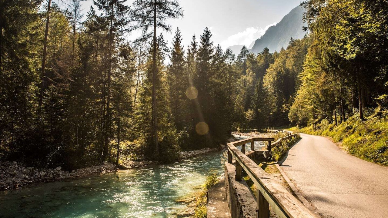 Photo of Others in Mojstrana