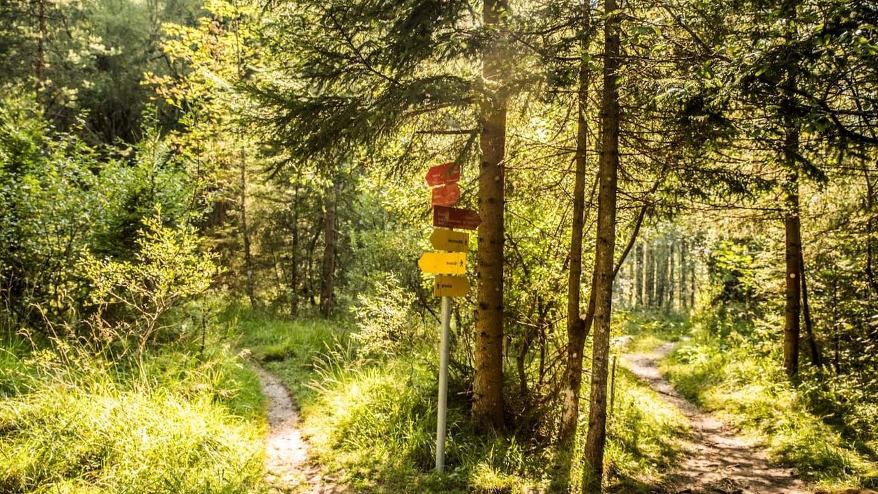 Photo of Others in Mojstrana