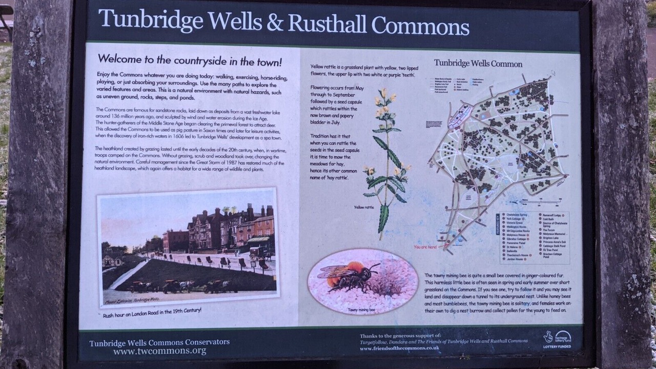Photo of Others in Royal Tunbridge Wells
