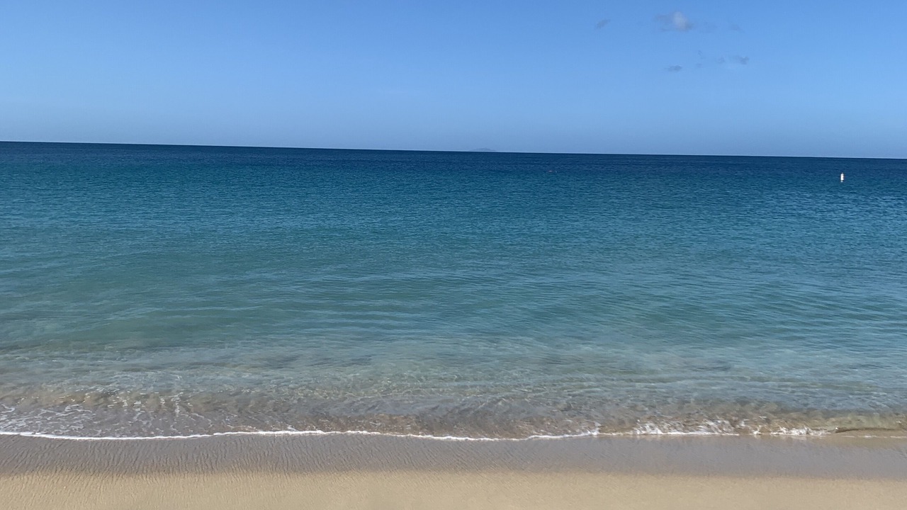 Photo of Others in Borinquen
