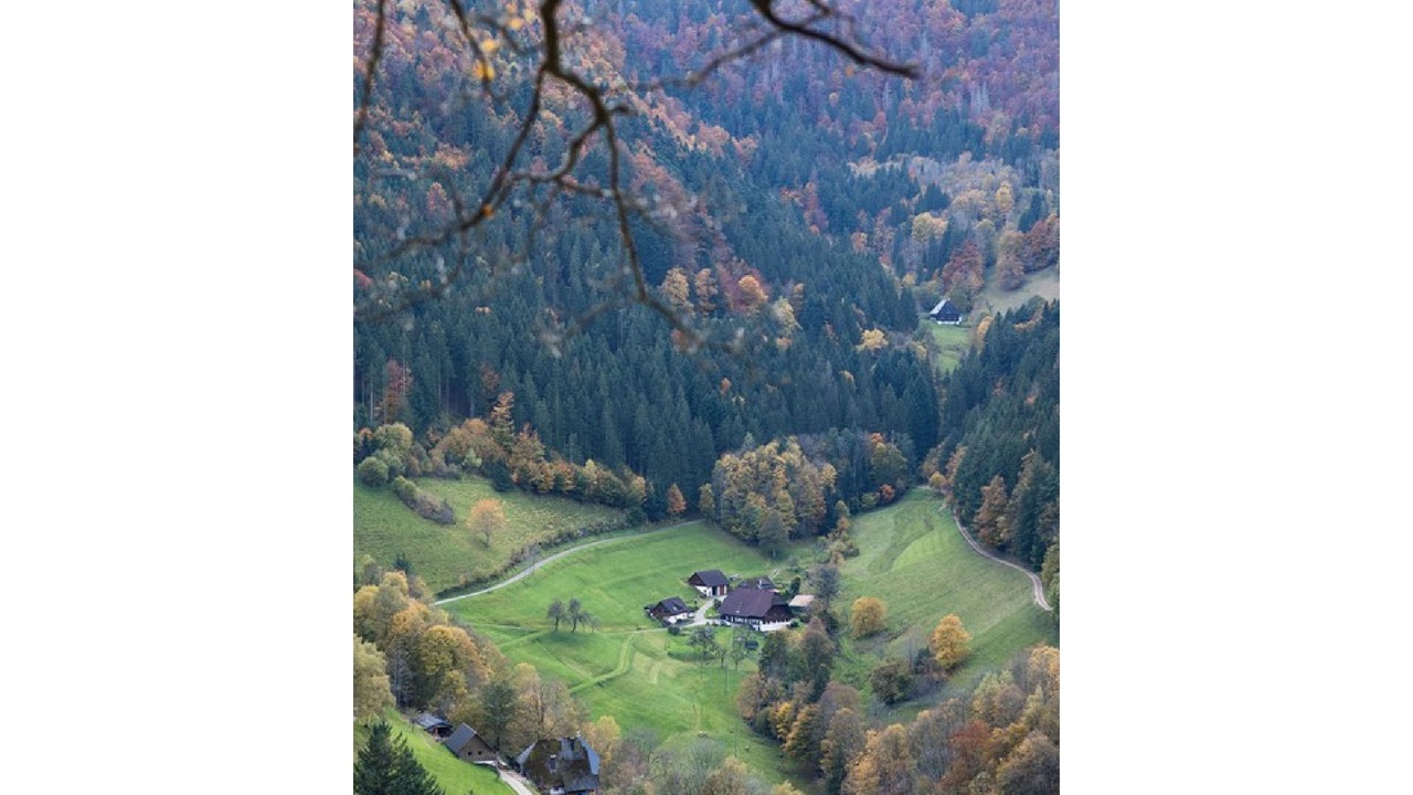 Photo of Outdoor in Furtwangen