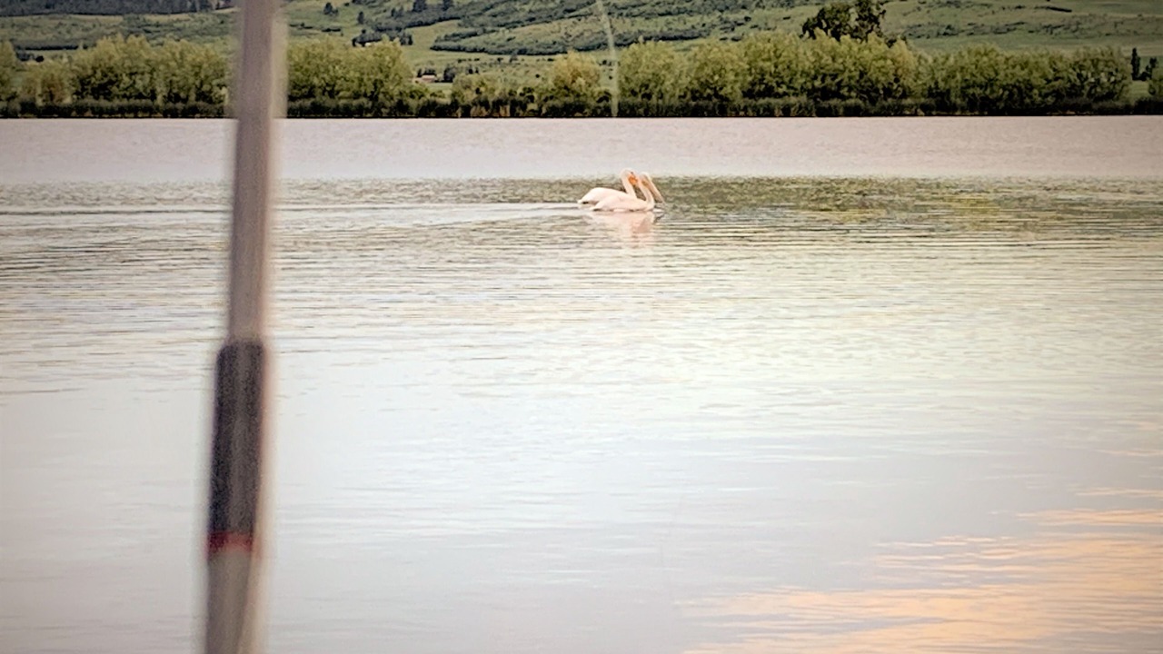 Photo of Others in Grangeville