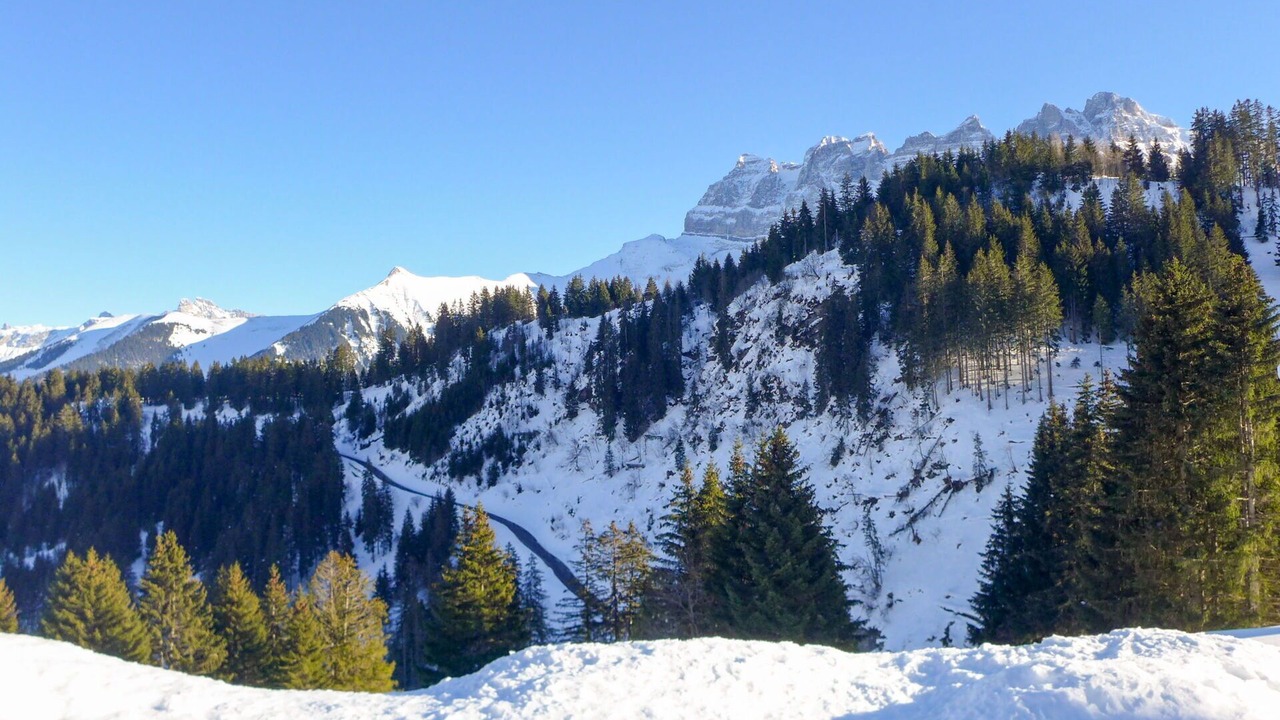Photo of Others in Champoussin