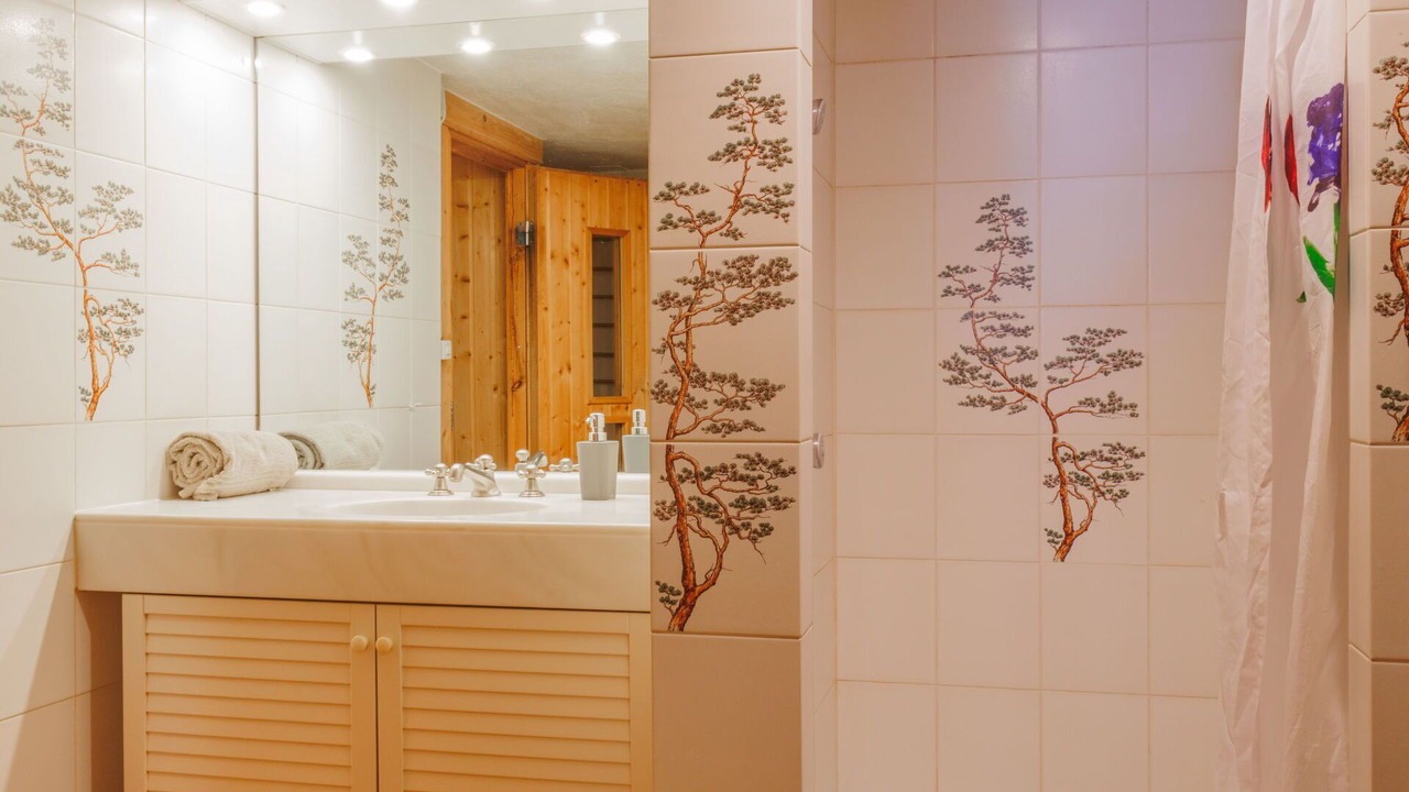 Photo of Bathroom in Champoussin