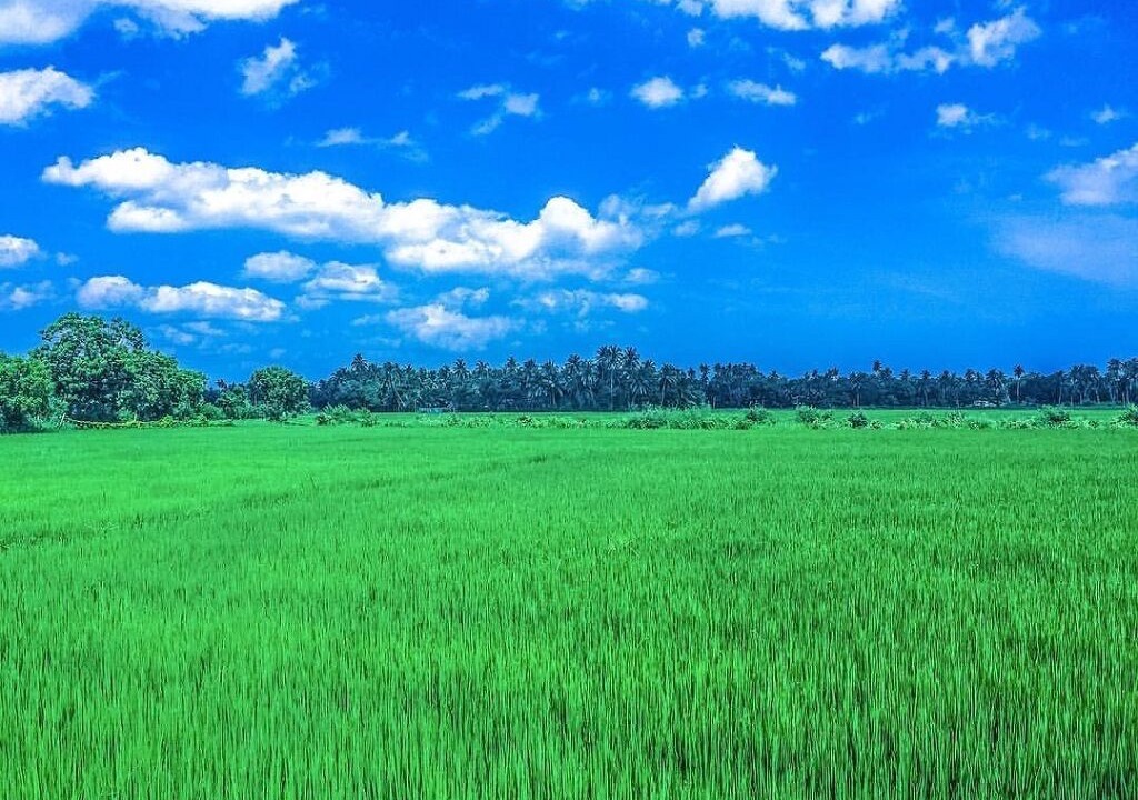 Photo of Others in Yodakandiya