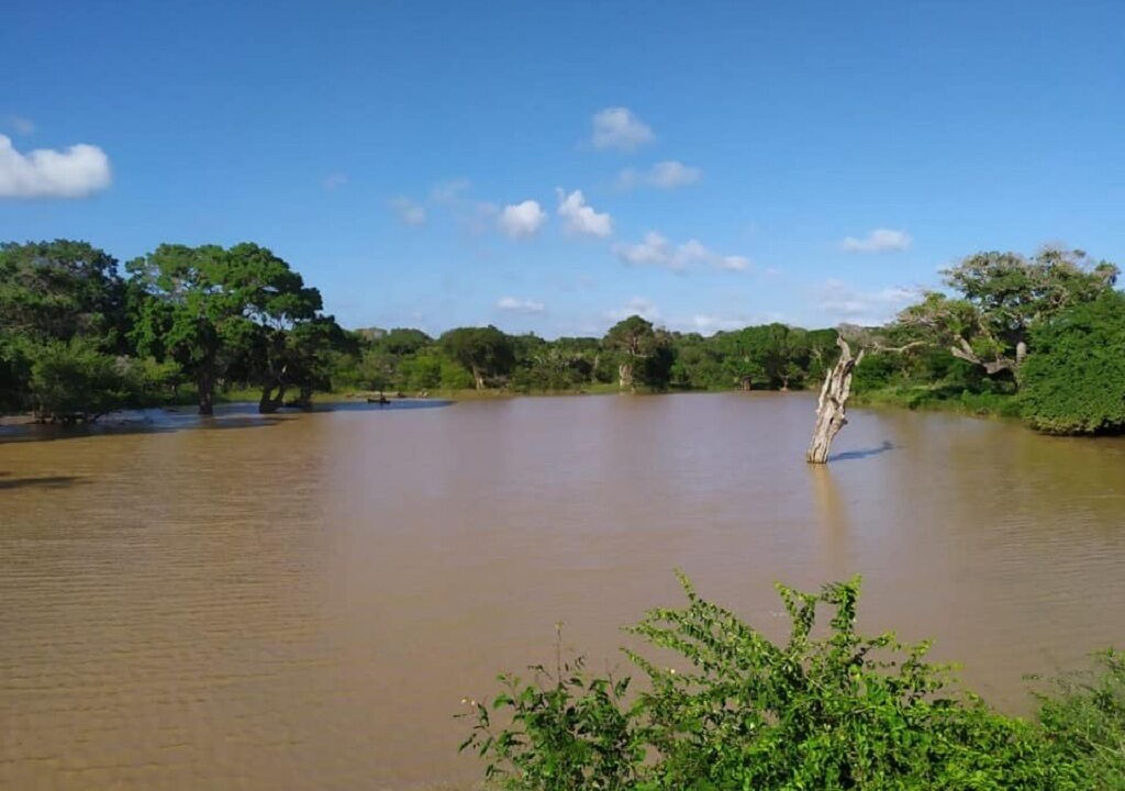 Photo of Outdoor in Yodakandiya