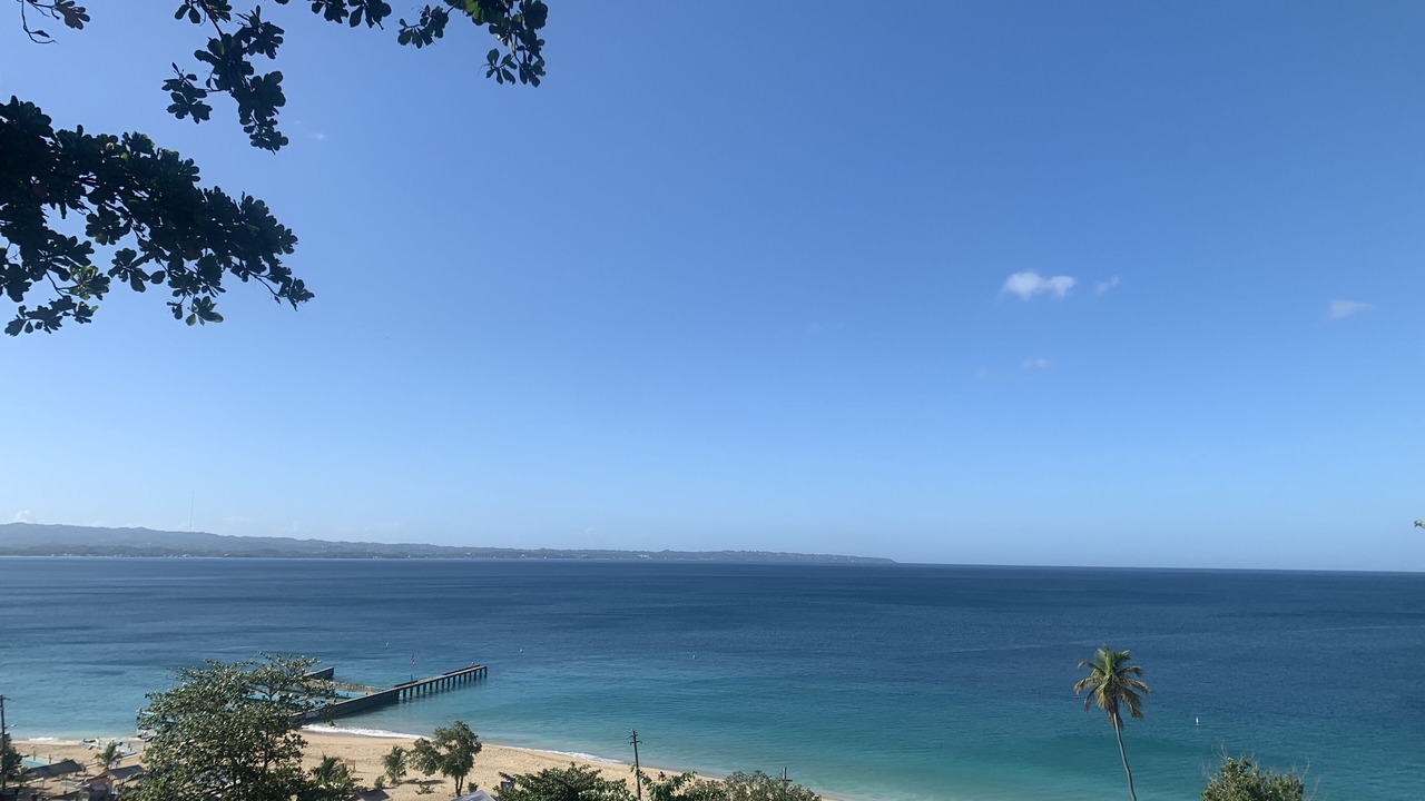 Photo of Others in Borinquen