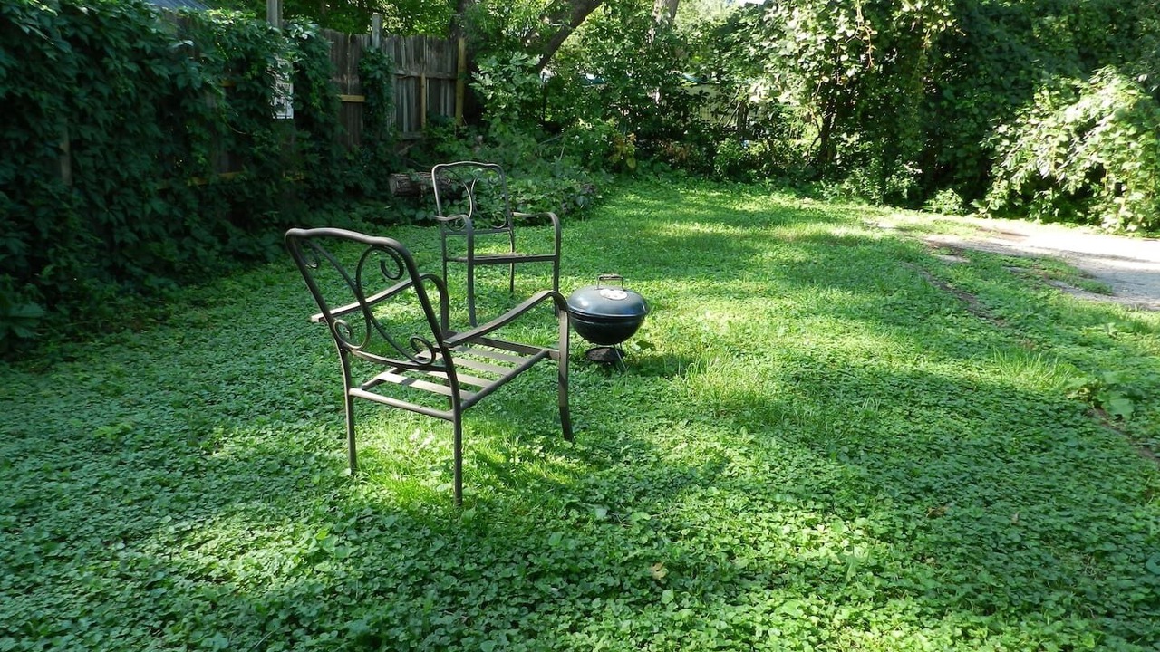Photo of Outdoor in Monona