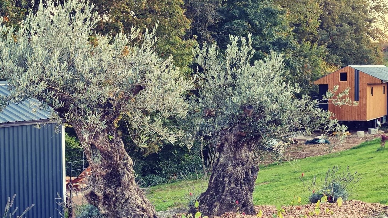 Photo of Outdoor in Saint-Germain-des-Champs
