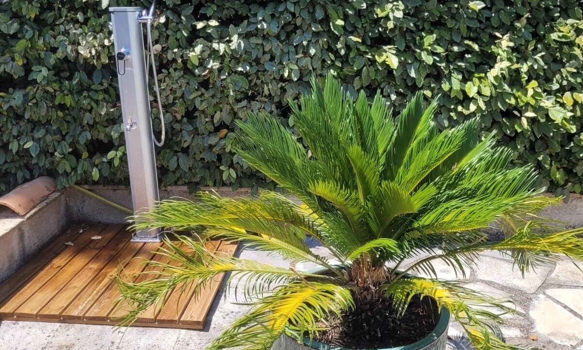 Photo of Outdoor in Seillans