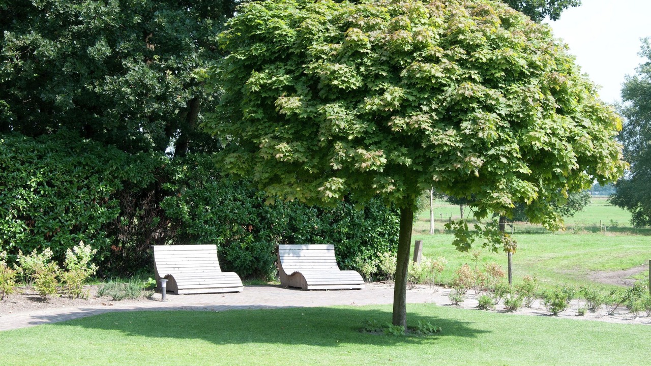 Photo of Outdoor in Nijensleek