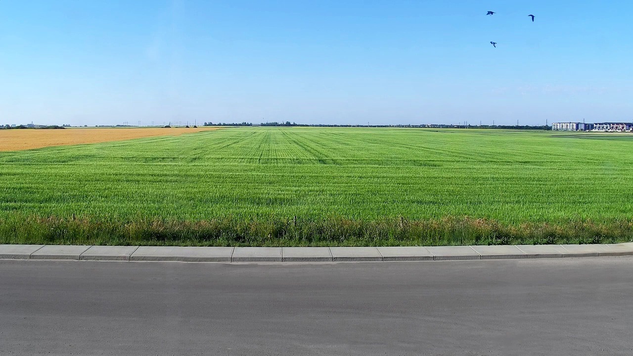 Photo of Others in Saskatoon