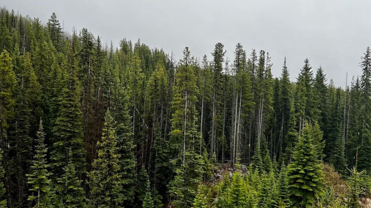 Photo of Others in Okanagan-Similkameen