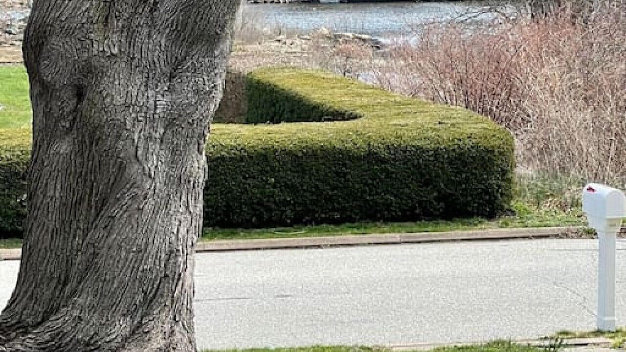 Photo of Others in New London