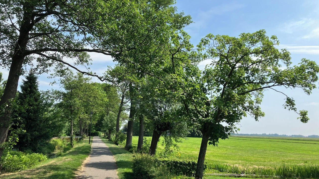 Photo of Outdoor in Zuideinde