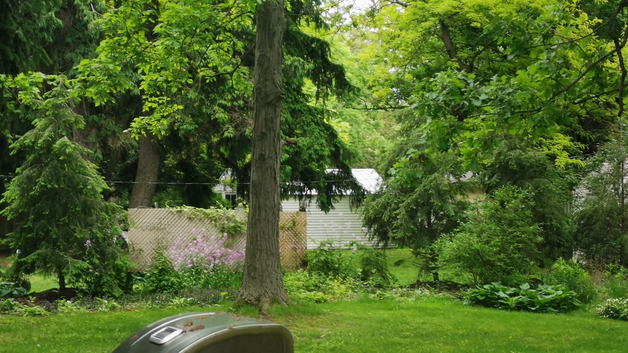 Photo of Others in Fort Erie