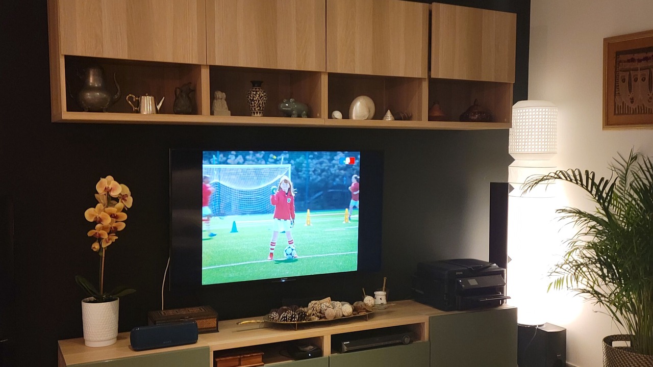 Photo of Livingroom in Lunel