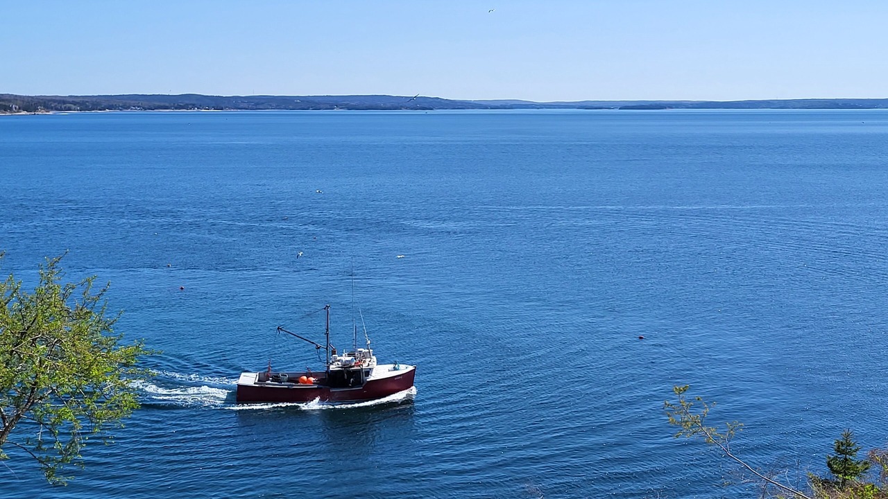 Photo of Outdoor in Mill Cove