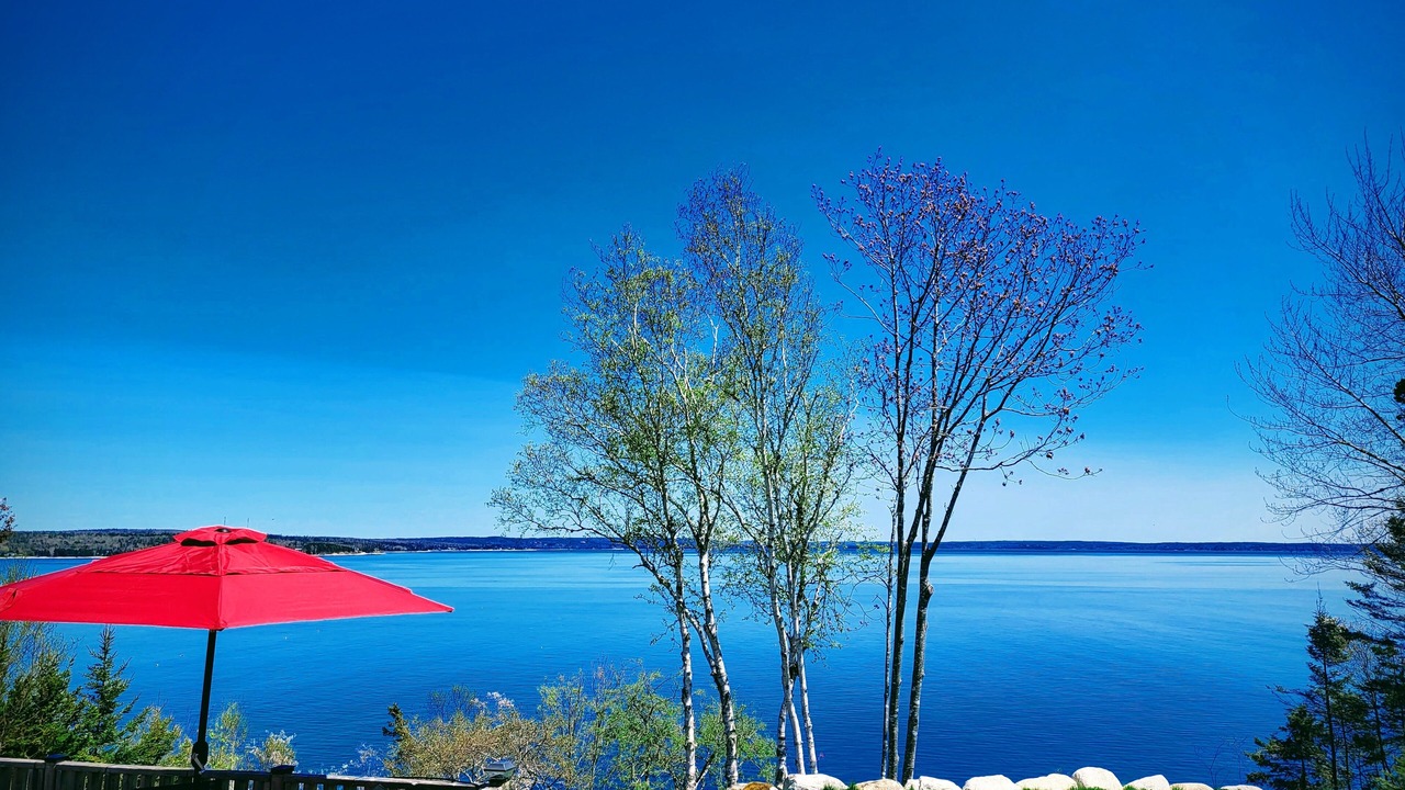 Photo of Outdoor in Mill Cove