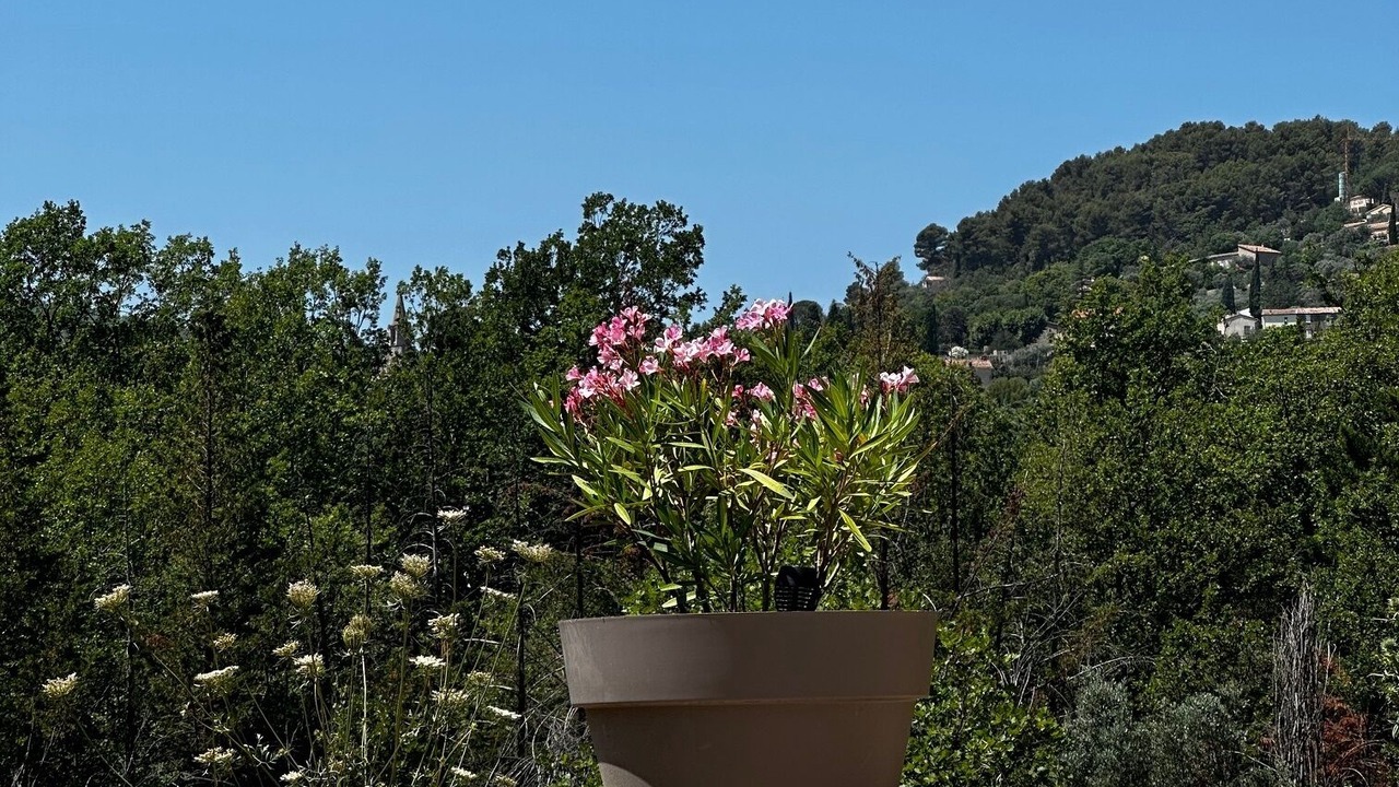Photo of Outdoor in Bargemon