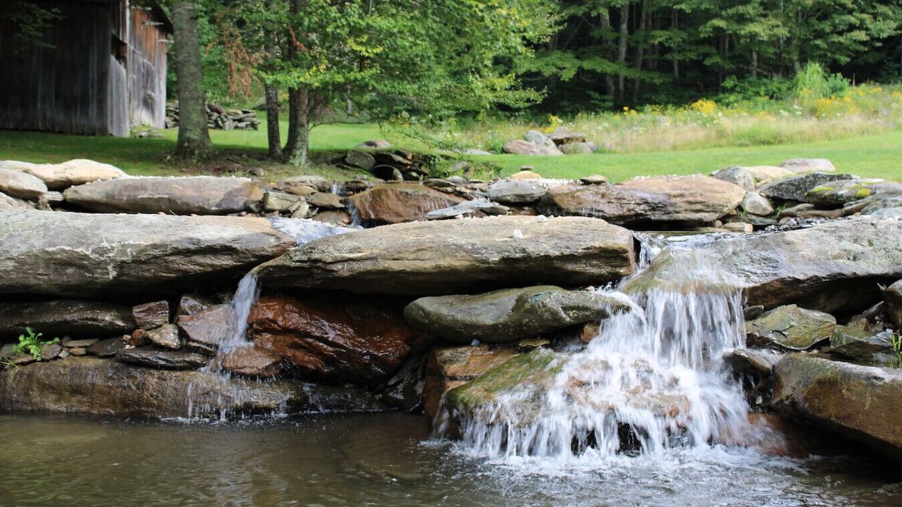 Photo of Others in Wilson Creek