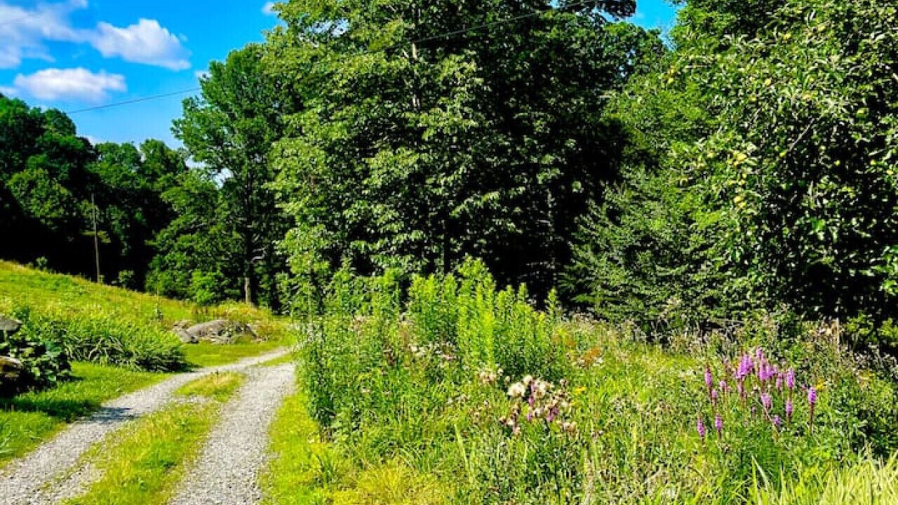 Photo of Outdoor in Wilson Creek