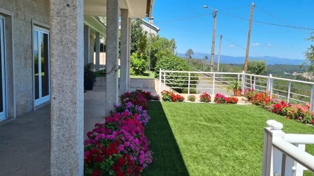 Photo of Outdoor in Portela