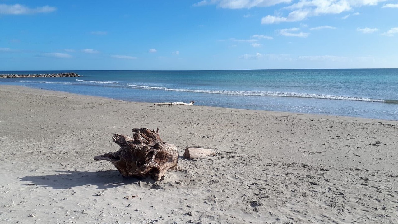 Photo of Others in Frontignan